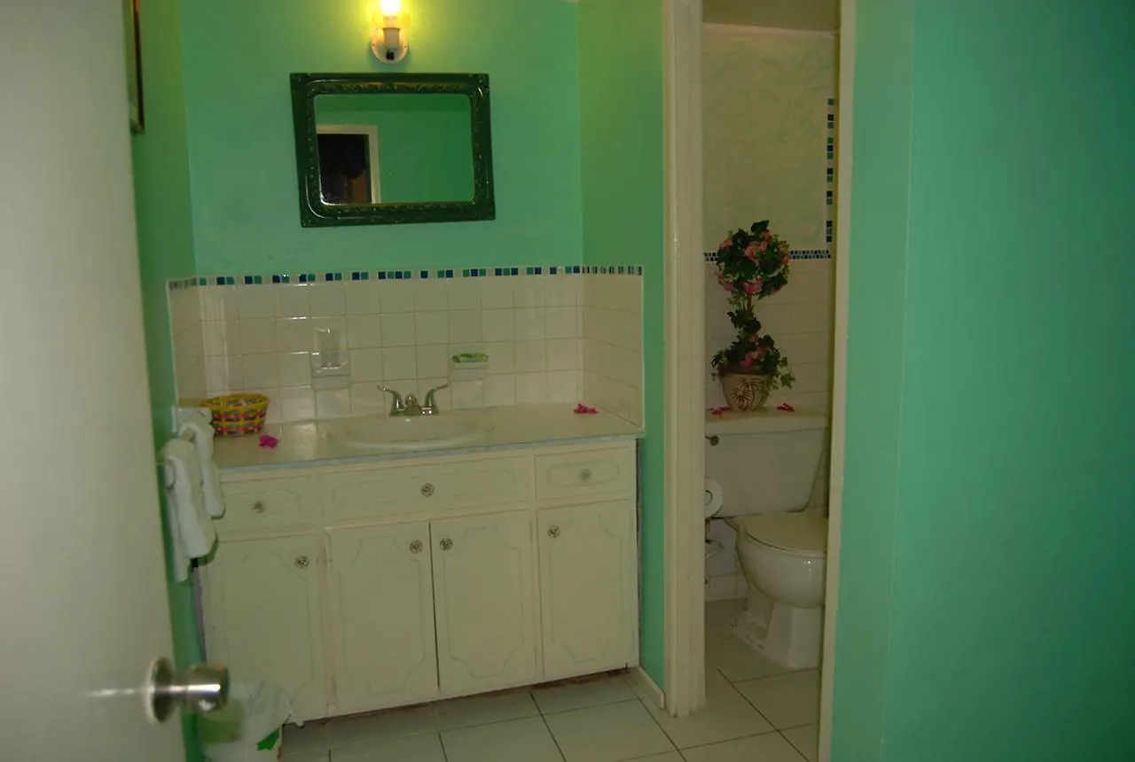 Pink Hibiscus Bed And Breakfast Montego Bay