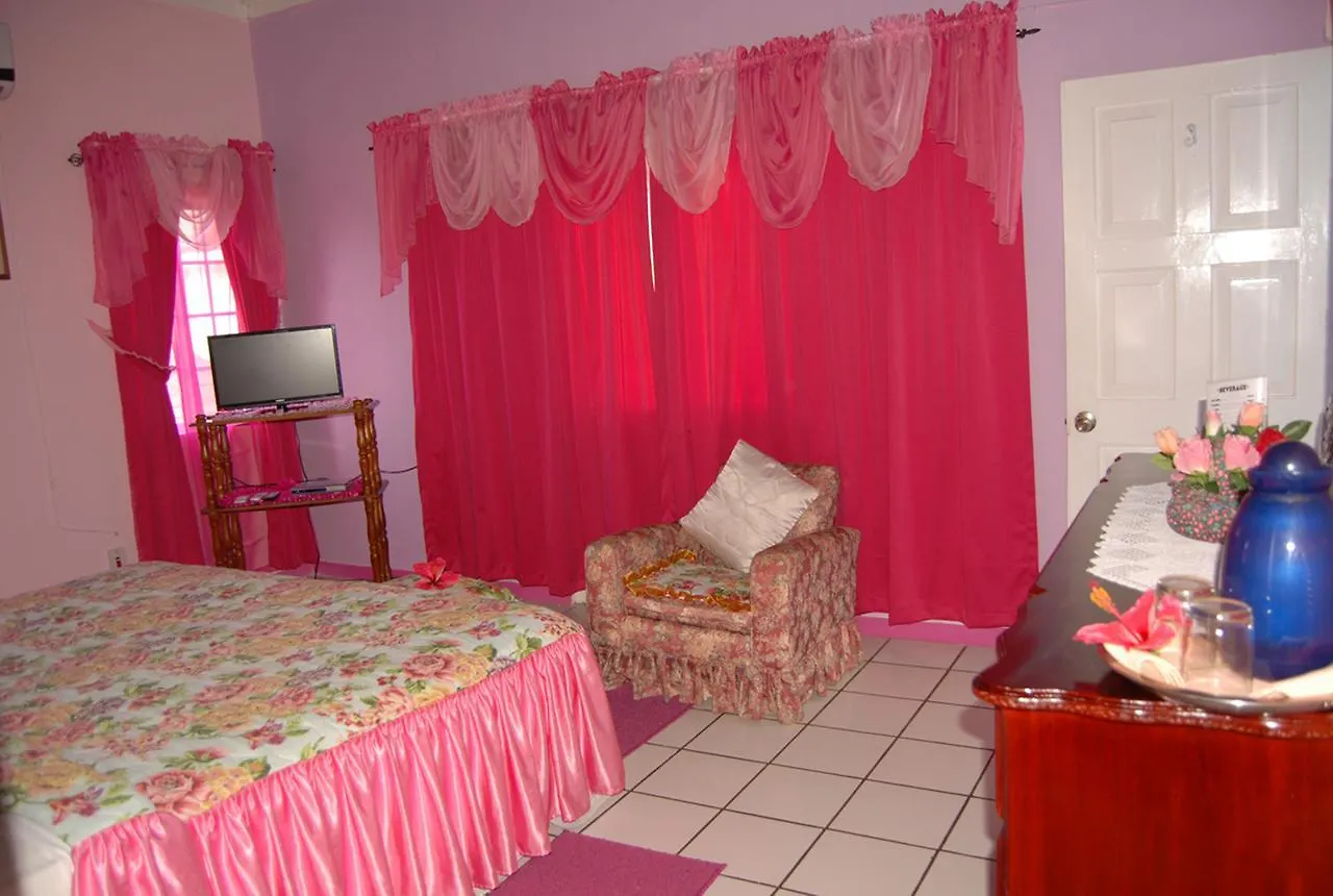 Pink Hibiscus Bed And Breakfast Montego Bay Villa