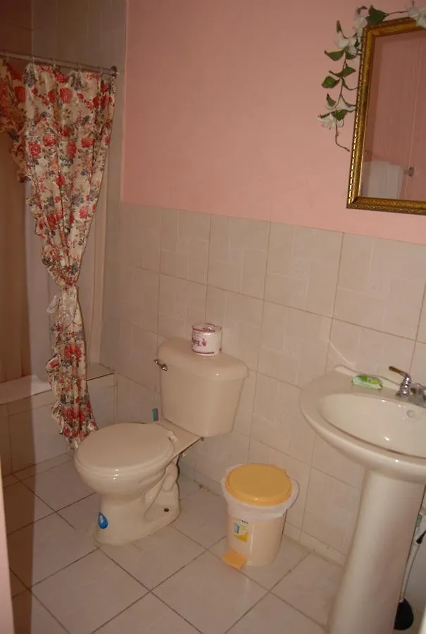 Villa Pink Hibiscus Bed And Breakfast Montego Bay