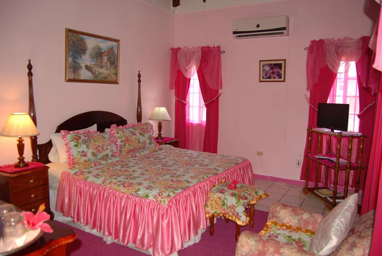 Villa Pink Hibiscus Bed And Breakfast Montego Bay