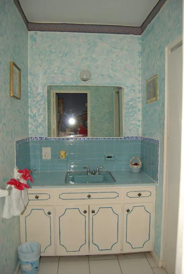 Villa Pink Hibiscus Bed And Breakfast Montego Bay