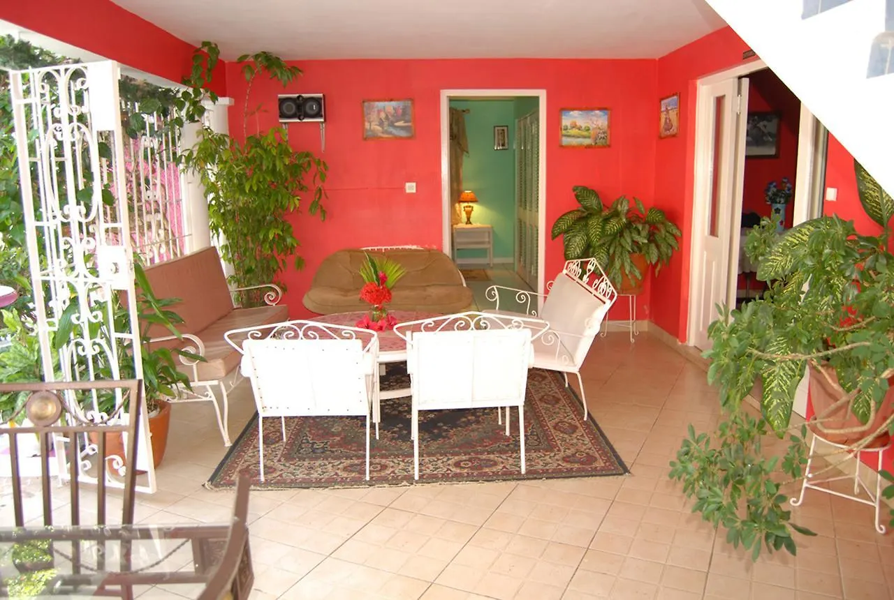 Pink Hibiscus Bed And Breakfast Montego Bay Jamaica