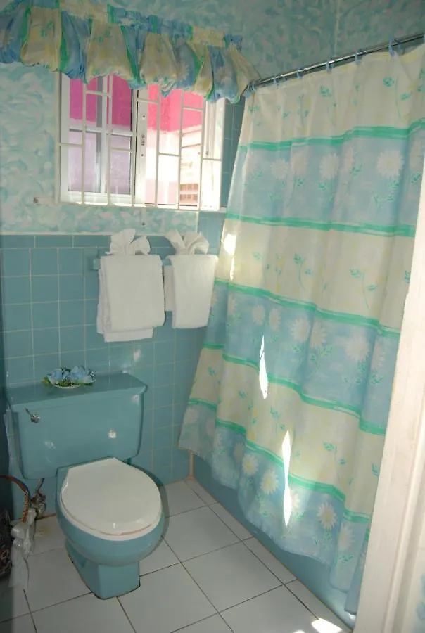 Pink Hibiscus Bed And Breakfast Montego Bay