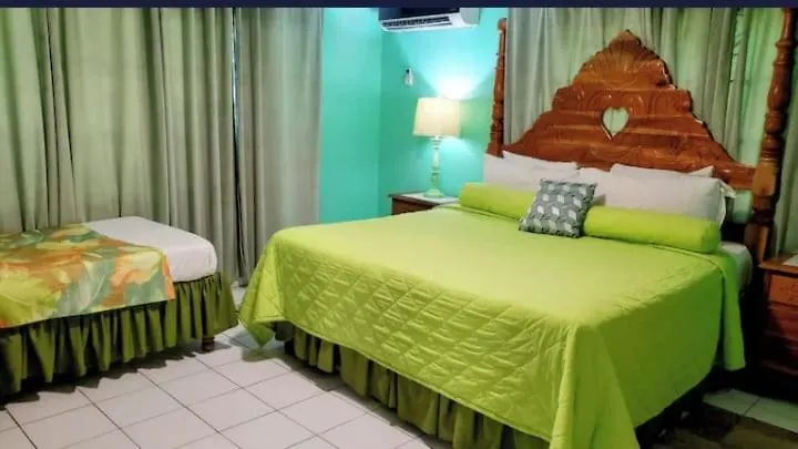 Villa Pink Hibiscus Bed And Breakfast Montego Bay