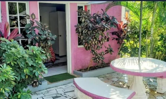 Villa Pink Hibiscus Bed And Breakfast Montego Bay