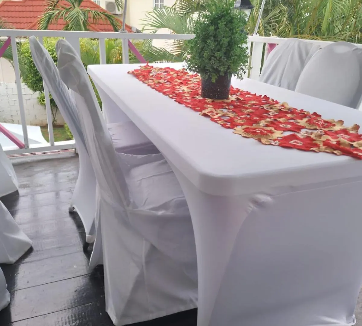 Pink Hibiscus Bed And Breakfast Montego Bay Villa