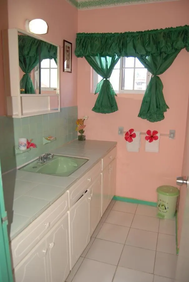 Villa Pink Hibiscus Bed And Breakfast Montego Bay