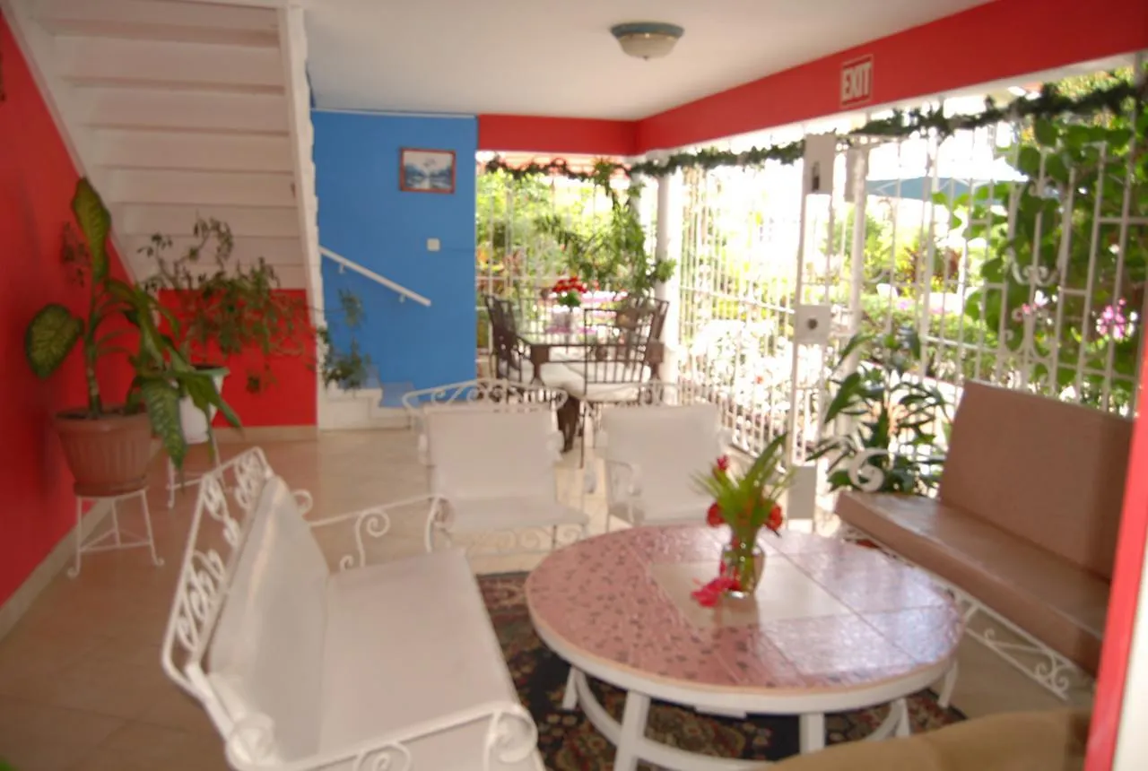 Pink Hibiscus Bed And Breakfast Montego Bay Villa