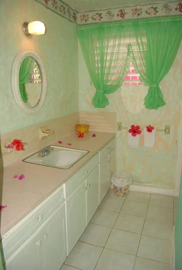 Villa Pink Hibiscus Bed And Breakfast Montego Bay Jamaica