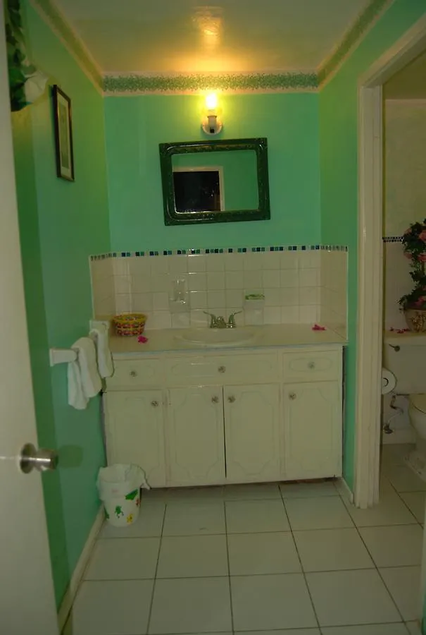Pink Hibiscus Bed And Breakfast Montego Bay Villa