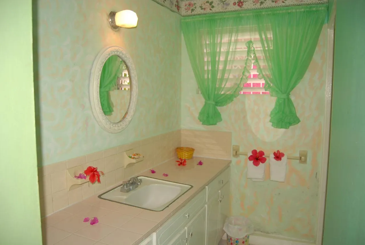 Pink Hibiscus Bed And Breakfast Montego Bay Villa