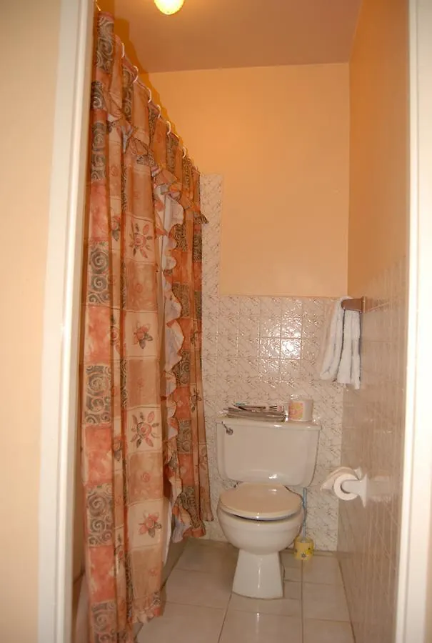 Pink Hibiscus Bed And Breakfast Montego Bay Villa
